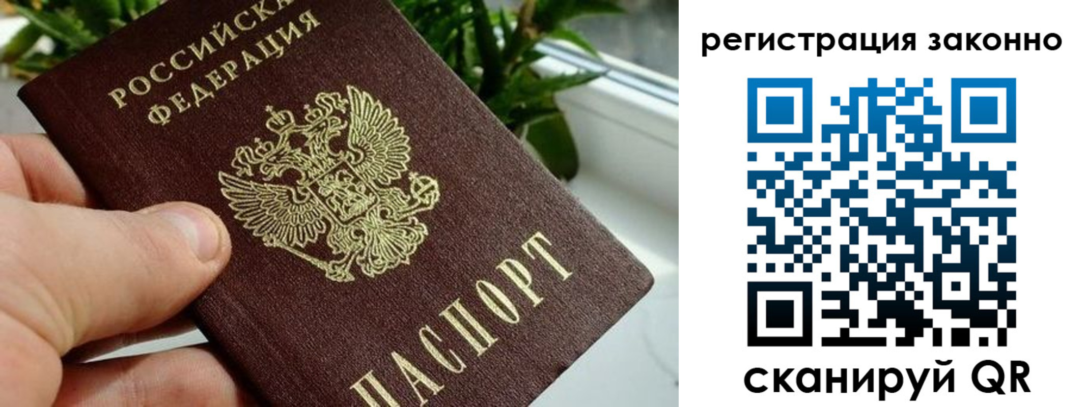 прописка гарантия в Кандалакше